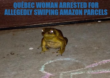 qubec-woman-arrested-for-allegedly-swiping-amazon-parcels