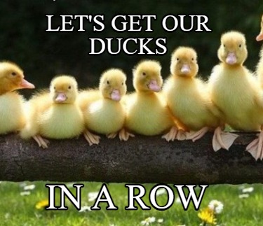 lets-get-our-ducks-in-a-row