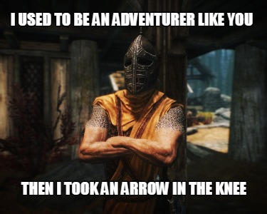 i-used-to-be-an-adventurer-like-you-then-i-took-an-arrow-in-the-knee8