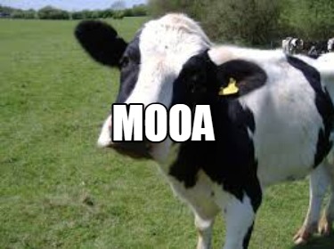 mooa