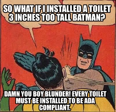 Meme Creator - Funny So what if I installed a toilet 3 inches too tall ...