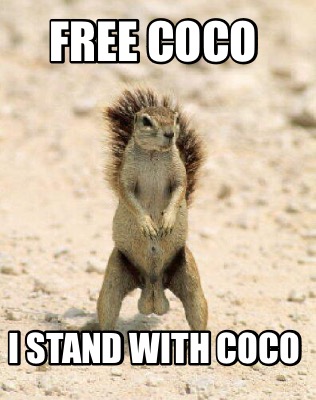 free-coco-i-stand-with-coco