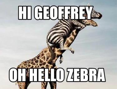 hi-geoffrey-oh-hello-zebra