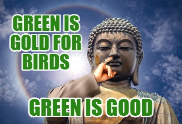 green-is-gold-for-birds-green-is-good