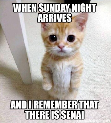 Meme Creator - Funny when sunday night arrives and I remember that ...