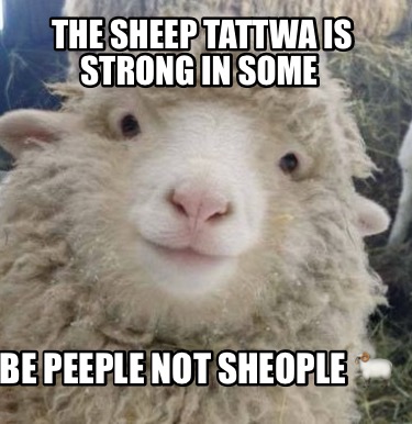 Meme Creator - Funny The sheep tattwa is strong in some Be peeple not ...