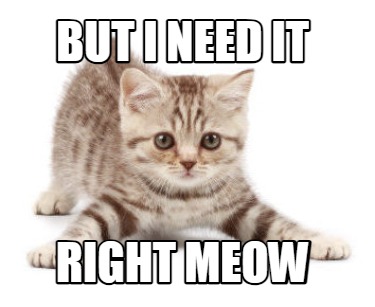 but-i-need-it-right-meow