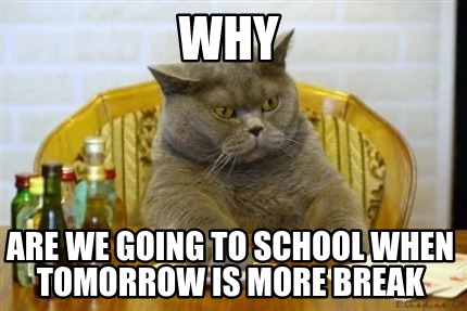 Meme Creator - Funny Why Are We Going To School When Tomorrow Is More 