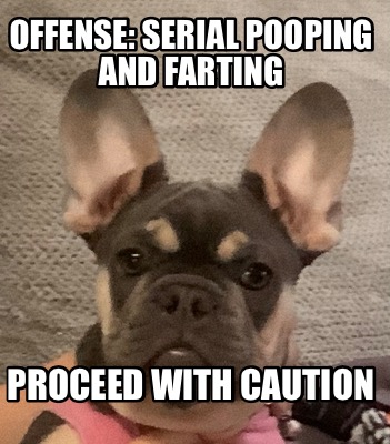 Meme Creator - Funny Offense: serial pooping and farting Proceed with ...