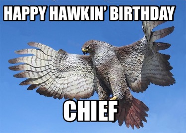 happy-hawkin-birthday-chief