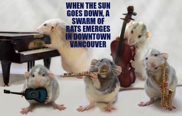 when-the-sun-goes-down-a-swarm-of-rats-emerges-in-downtown-vancouver