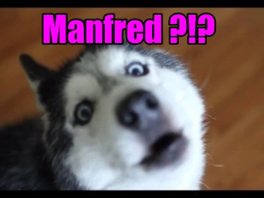 manfred-