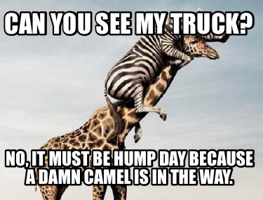 can-you-see-my-truck-no-it-must-be-hump-day-because-a-damn-camel-is-in-the-way