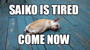 saiko-is-tired-come-now