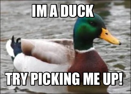 im-a-duck-try-picking-me-up7