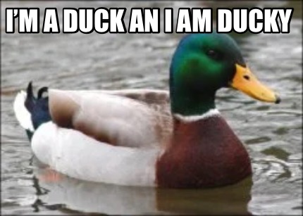 im-a-duck-an-i-am-ducky