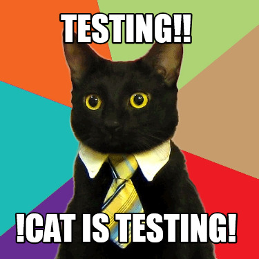 testing-cat-is-testing