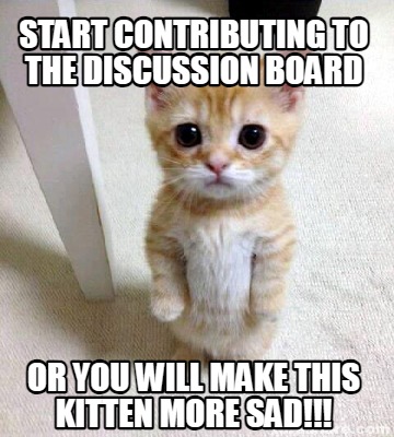 start-contributing-to-the-discussion-board-or-you-will-make-this-kitten-more-sad