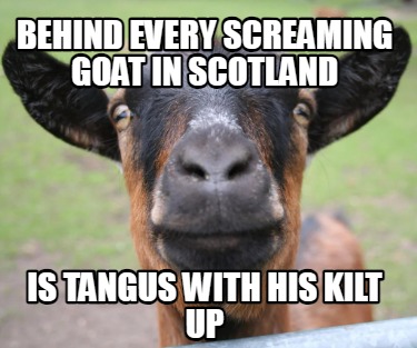 behind-every-screaming-goat-in-scotland-is-tangus-with-his-kilt-up
