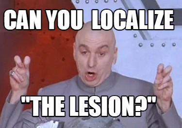 can-you-localize-the-lesion