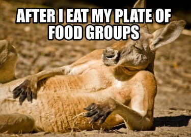 after-i-eat-my-plate-of-food-groups