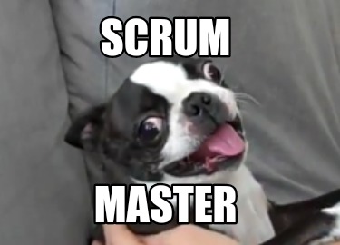 scrum-master