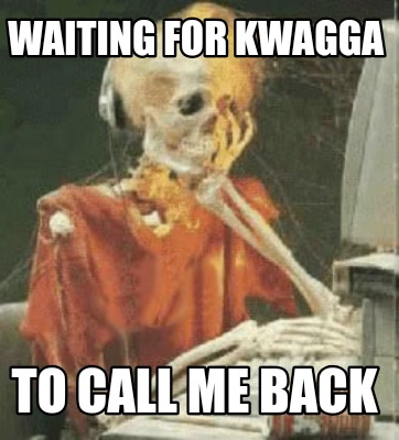 waiting-for-kwagga-to-call-me-back