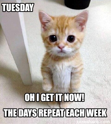tuesday-the-days-repeat-each-week-oh-i-get-it-now