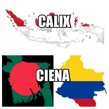 calix-ciena4