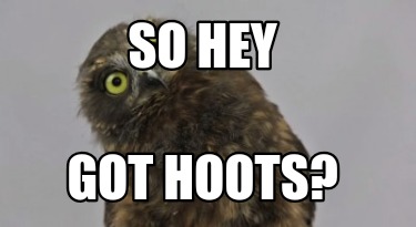 so-hey-got-hoots