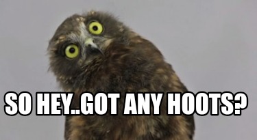 so-hey..got-any-hoots