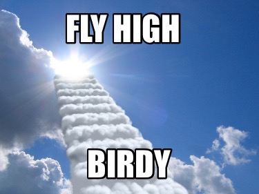 fly-high-birdy
