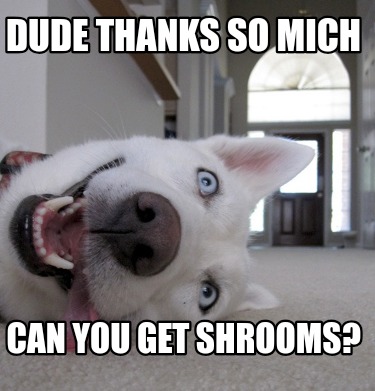 dude-thanks-so-mich-can-you-get-shrooms