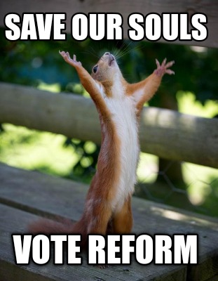 save-our-souls-vote-reform