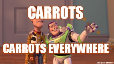 carrots-carrots-everywhere4