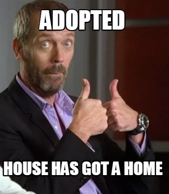 adopted-house-has-got-a-home