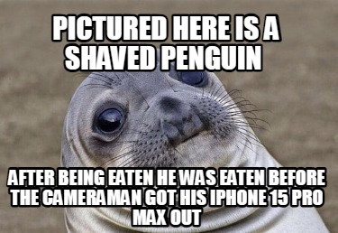 pictured-here-is-a-shaved-penguin-after-being-eaten-he-was-eaten-before-the-came9
