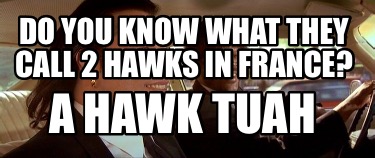 do-you-know-what-they-call-2-hawks-in-france-a-hawk-tuah