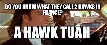 do-you-know-what-they-call-2-hawks-in-france-a-hawk-tuah8