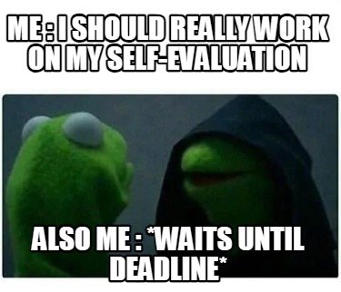 me-i-should-really-work-on-my-self-evaluation-also-me-waits-until-deadline6
