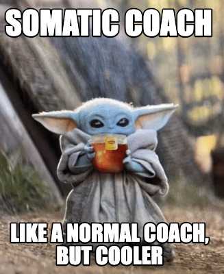 somatic-coach-like-a-normal-coach-but-cooler