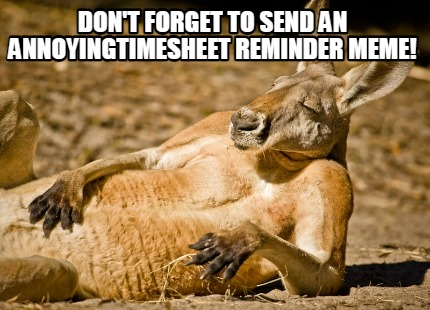 dont-forget-to-send-an-annoyingtimesheet-reminder-meme