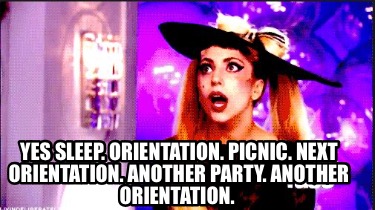 yes-sleep.-orientation.-picnic.-next-orientation.-another-party.-another-orienta