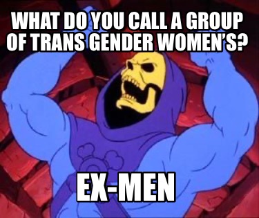 what-do-you-call-a-group-of-trans-gender-womens-ex-men
