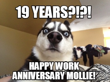 19-years-happy-work-anniversary-mollie