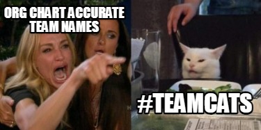 org-chart-accurate-team-names-teamcats