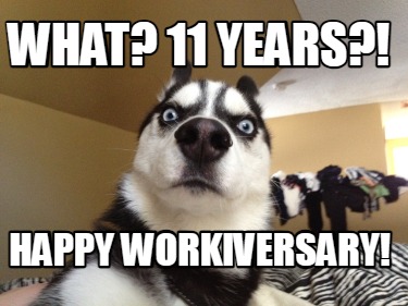 what-11-years-happy-workiversary
