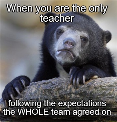 when-you-are-the-only-teacher-following-the-expectations-the-whole-team-agreed-o