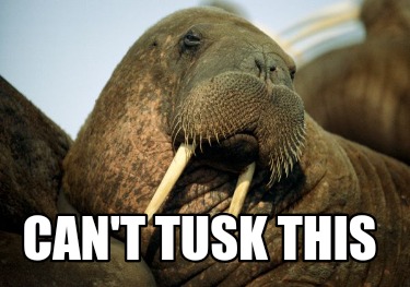 cant-tusk-this