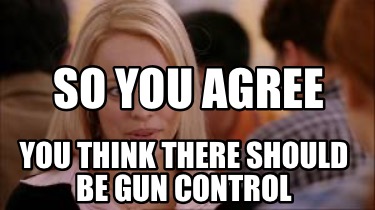 so-you-agree-you-think-there-should-be-gun-control